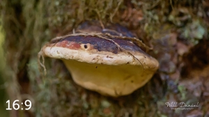 Beaver Lake Trail 127_G2