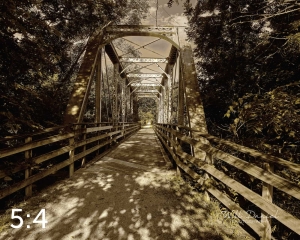 Oak Creek Trail 58693 naples