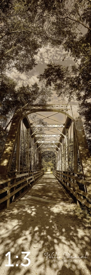 Oak Creek Trail 58689 naples