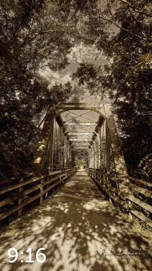 Oak Creek Trail 58689 naples