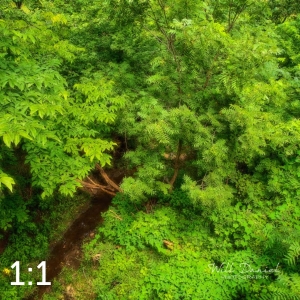 Oak Creek Trail 58861 N1