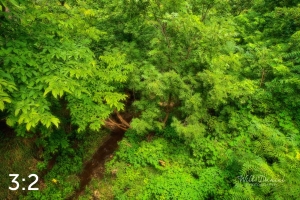 Oak Creek Trail 58861 N1