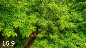 Oak Creek Trail 58861 N1