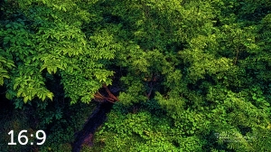 Oak Creek Trail 58861 ID fulton