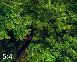 Oak Creek Trail 58861 ID fulton