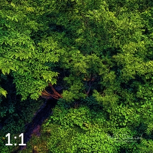 Oak Creek Trail 58861 ID fulton