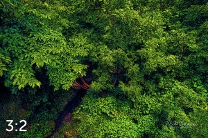 Oak Creek Trail 58861 ID fulton