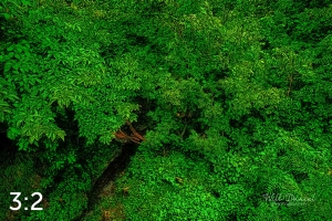 Oak Creek Trail 58861 ID techna