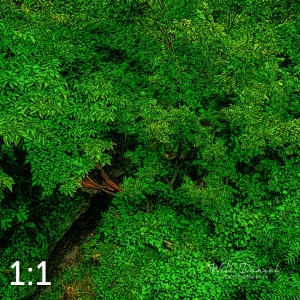 Oak Creek Trail 58861 ID techna