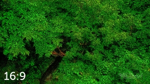 Oak Creek Trail 58861 ID techna