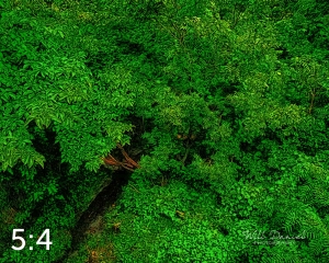 Oak Creek Trail 58861 ID techna