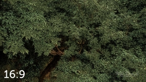 Oak Creek Trail 58861 ID elixer