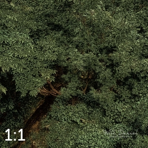 Oak Creek Trail 58861 ID elixer