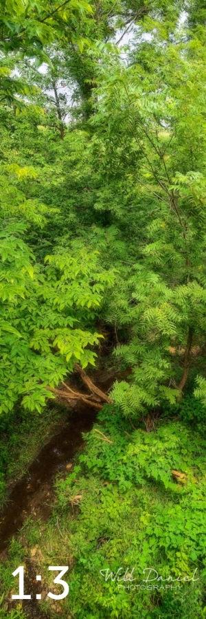 Oak Creek Trail 58857 N1