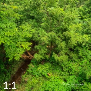 Oak Creek Trail 58857 N1