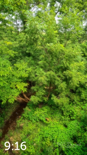 Oak Creek Trail 58857 N1