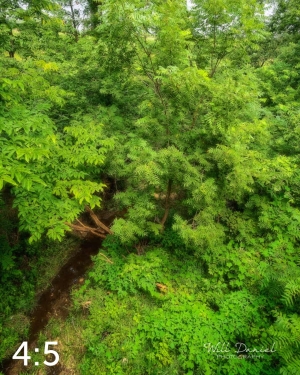 Oak Creek Trail 58857 N1