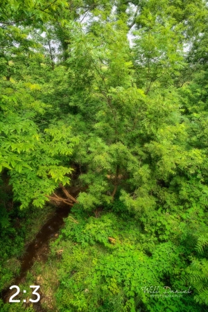 Oak Creek Trail 58857 N1