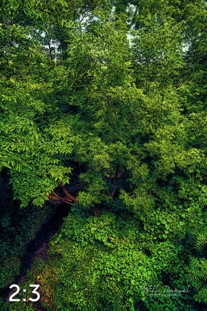 Oak Creek Trail 58857 ID fulton