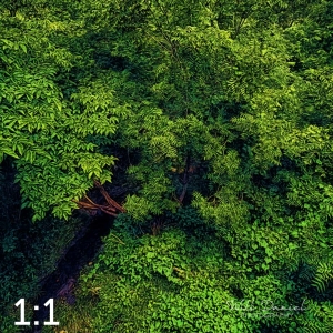 Oak Creek Trail 58857 ID fulton