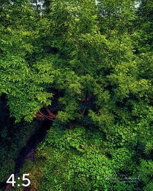 Oak Creek Trail 58857 ID fulton