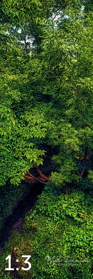 Oak Creek Trail 58857 ID fulton