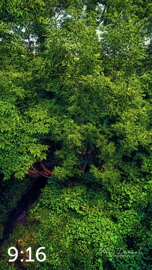 Oak Creek Trail 58857 ID fulton