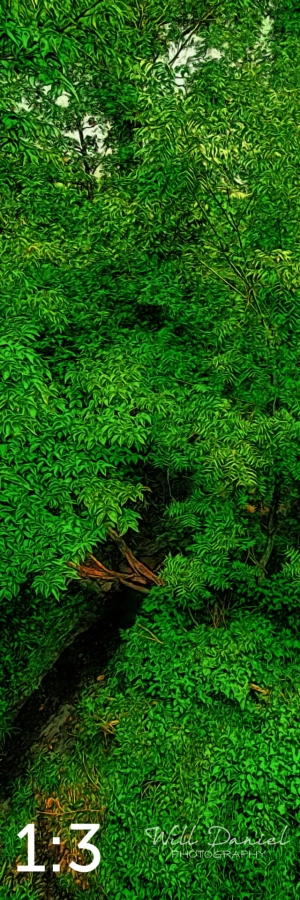 Oak Creek Trail 58857 ID techna