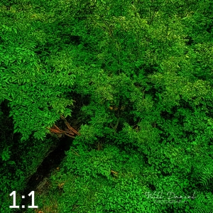 Oak Creek Trail 58857 ID techna