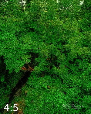 Oak Creek Trail 58857 ID techna