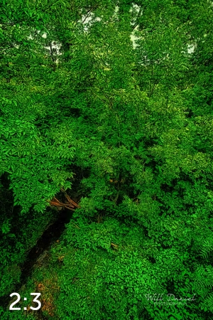 Oak Creek Trail 58857 ID techna