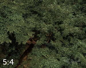 Oak Creek Trail 58857 ID elixer