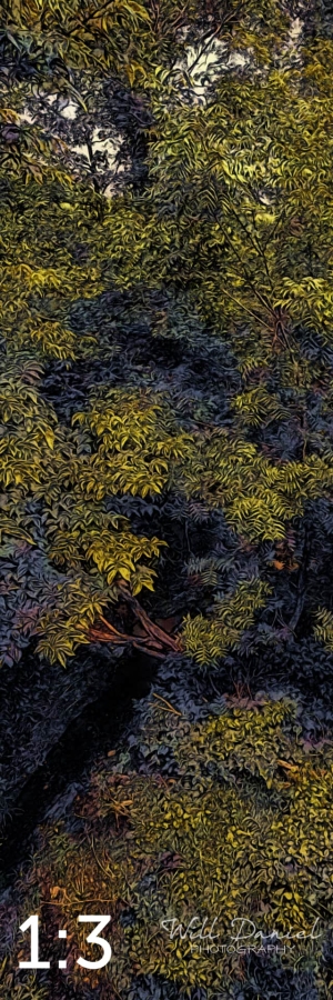 Oak Creek Trail 58857 ID celestial