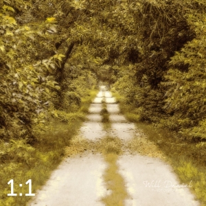 Oak Creek Trail 59033 N1 naples