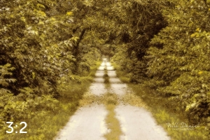 Oak Creek Trail 59033 N1 naples