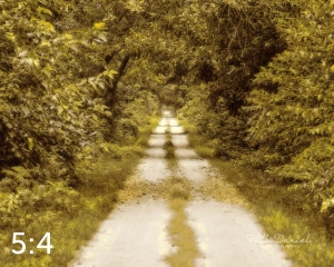 Oak Creek Trail 59033 N1 naples