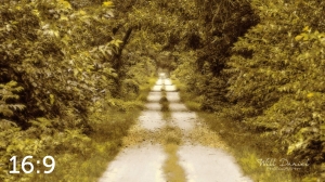 Oak Creek Trail 59033 N1 naples