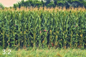 Oak Creek Trail 59117 H2 powder