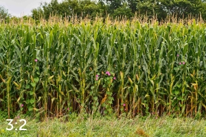 Oak Creek Trail 59117