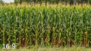 Oak Creek Trail 59117