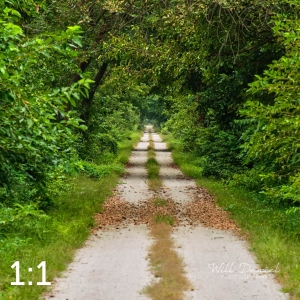 Oak Creek Trail 59033