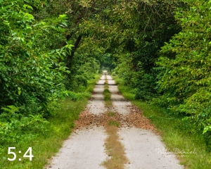 Oak Creek Trail 59033