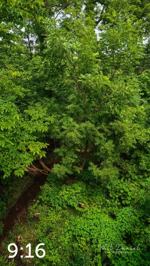 Oak Creek Trail 58857