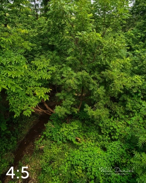 Oak Creek Trail 58857