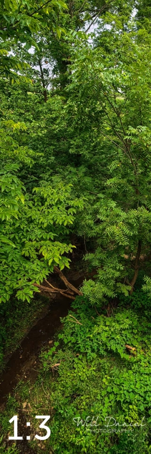 Oak Creek Trail 58857