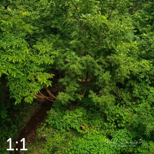 Oak Creek Trail 58857