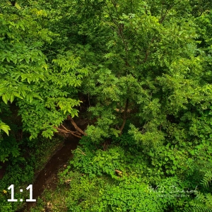 Oak Creek Trail 58861