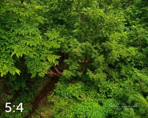 Oak Creek Trail 58861