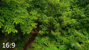 Oak Creek Trail 58861