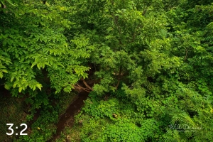 Oak Creek Trail 58861